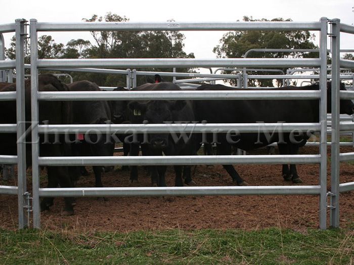 Livestock Panel